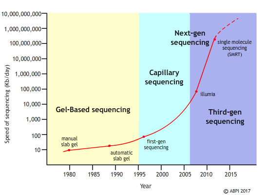 DNA Sequencing Chart