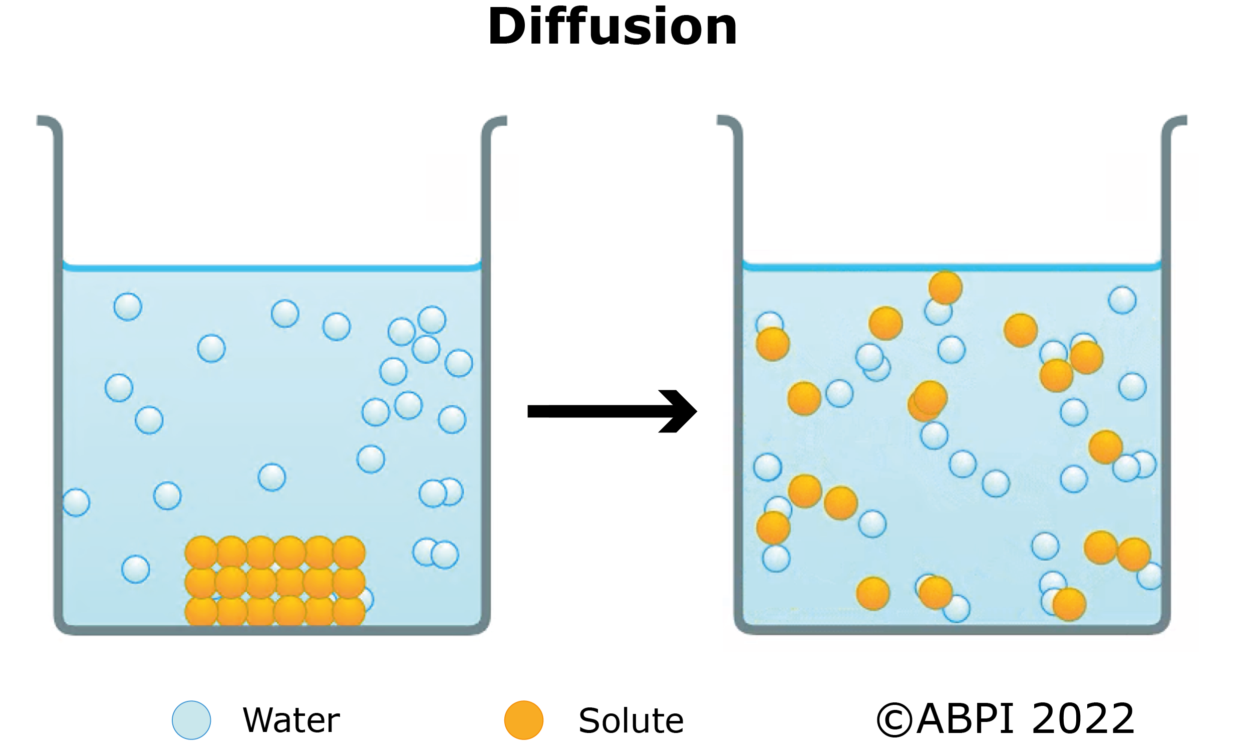 Diffusion