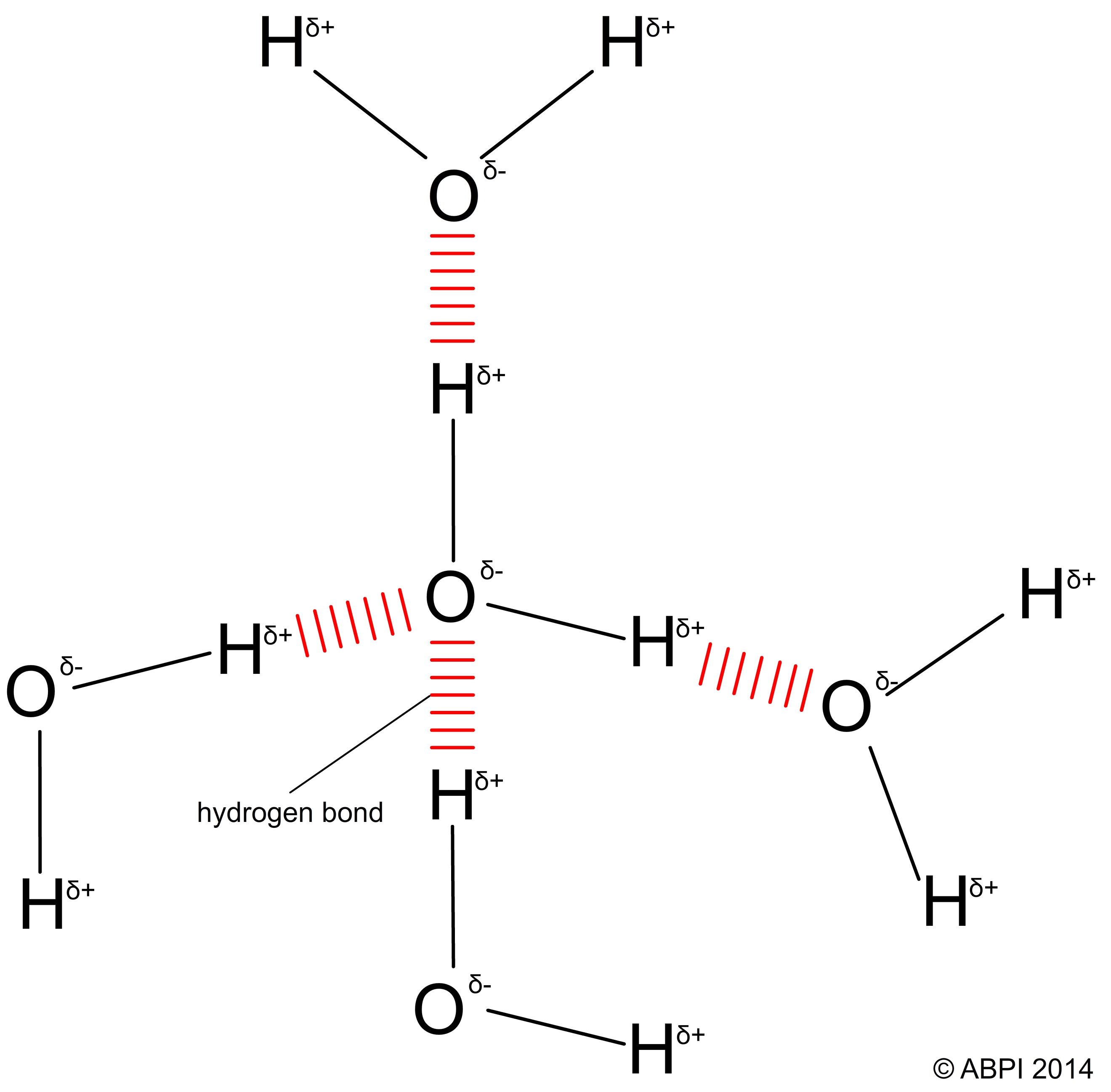 Hydrogen Bonding