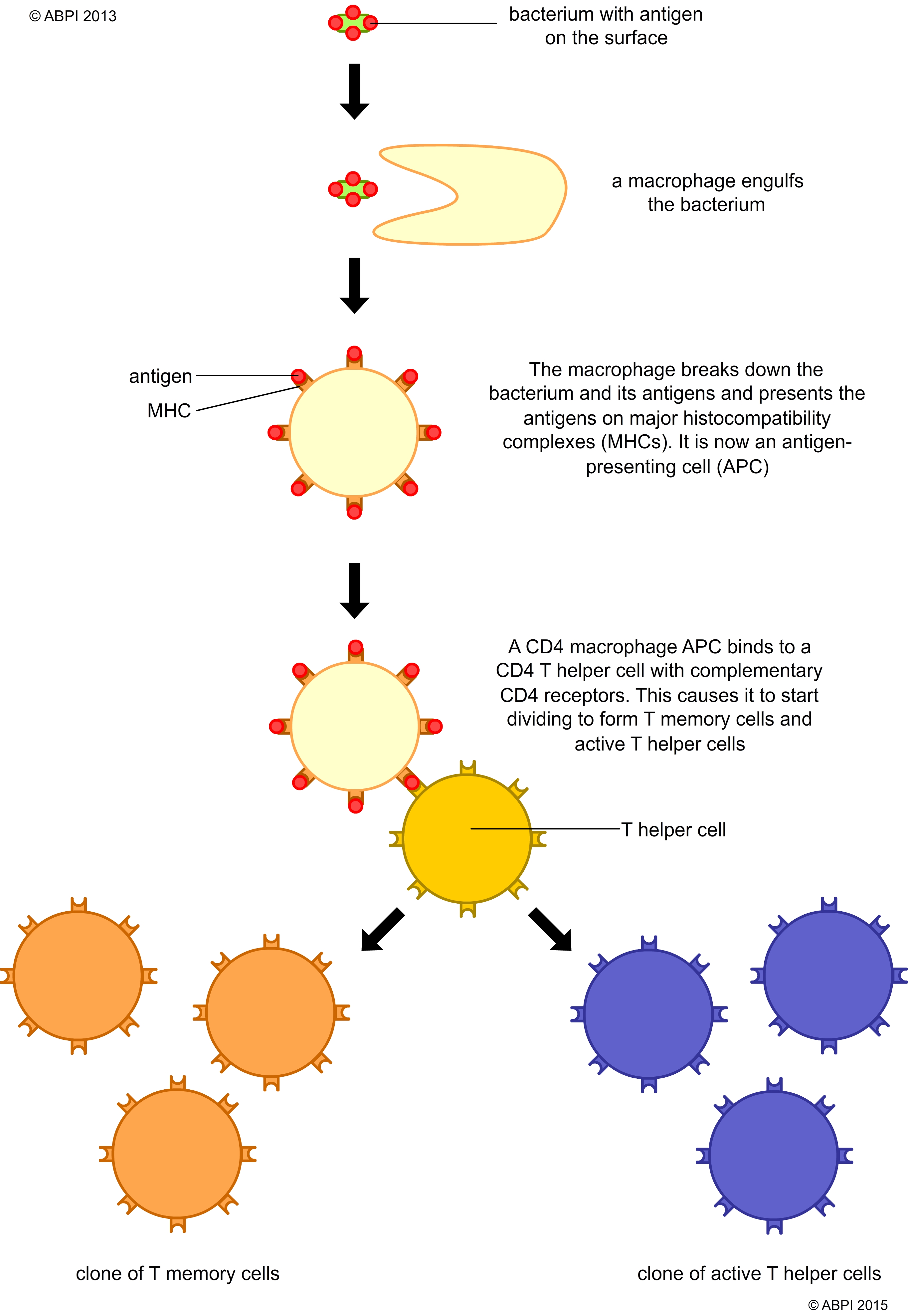 Pathogens30