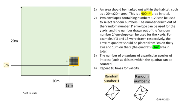 Quadrat sampling