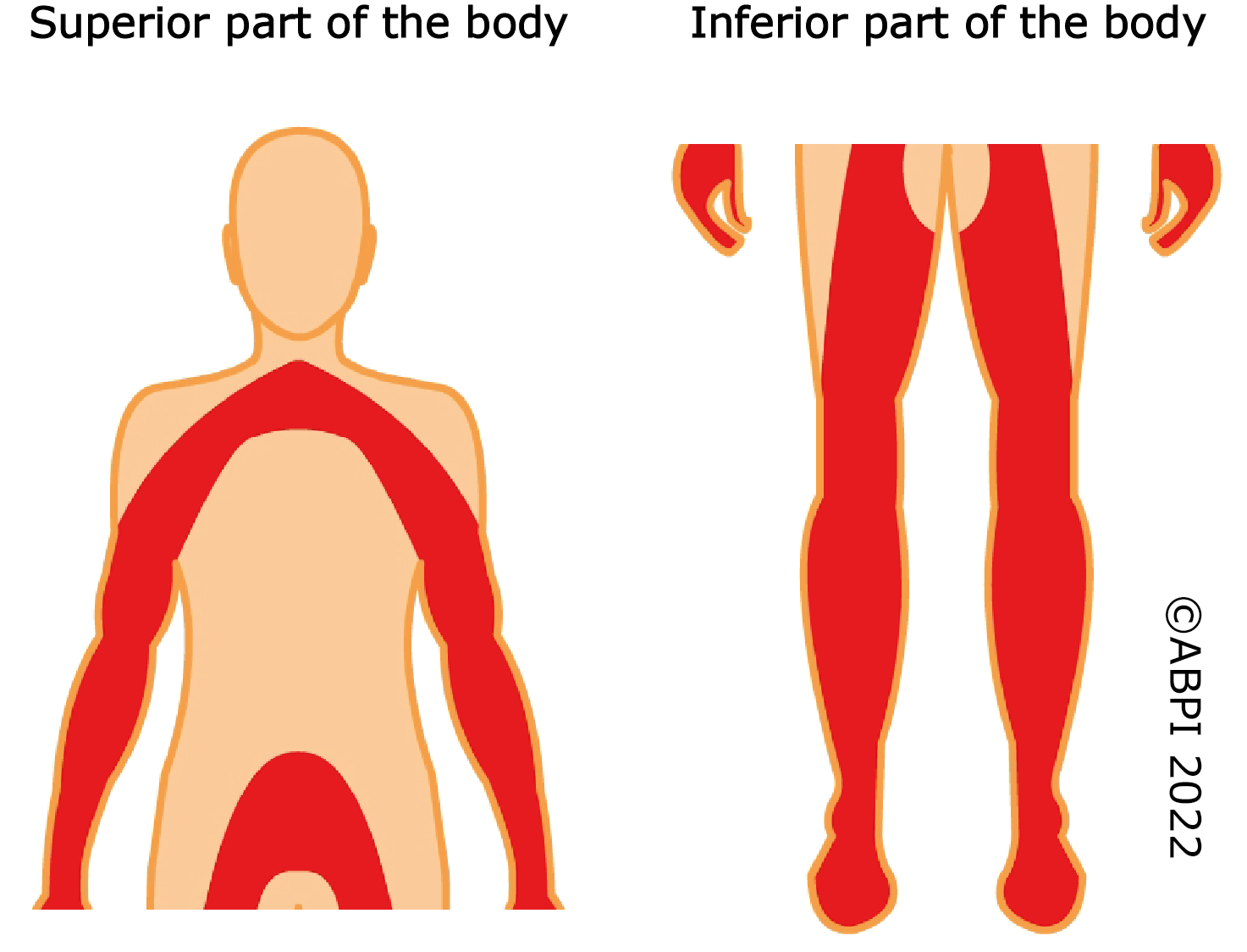 Neuropathy Halved