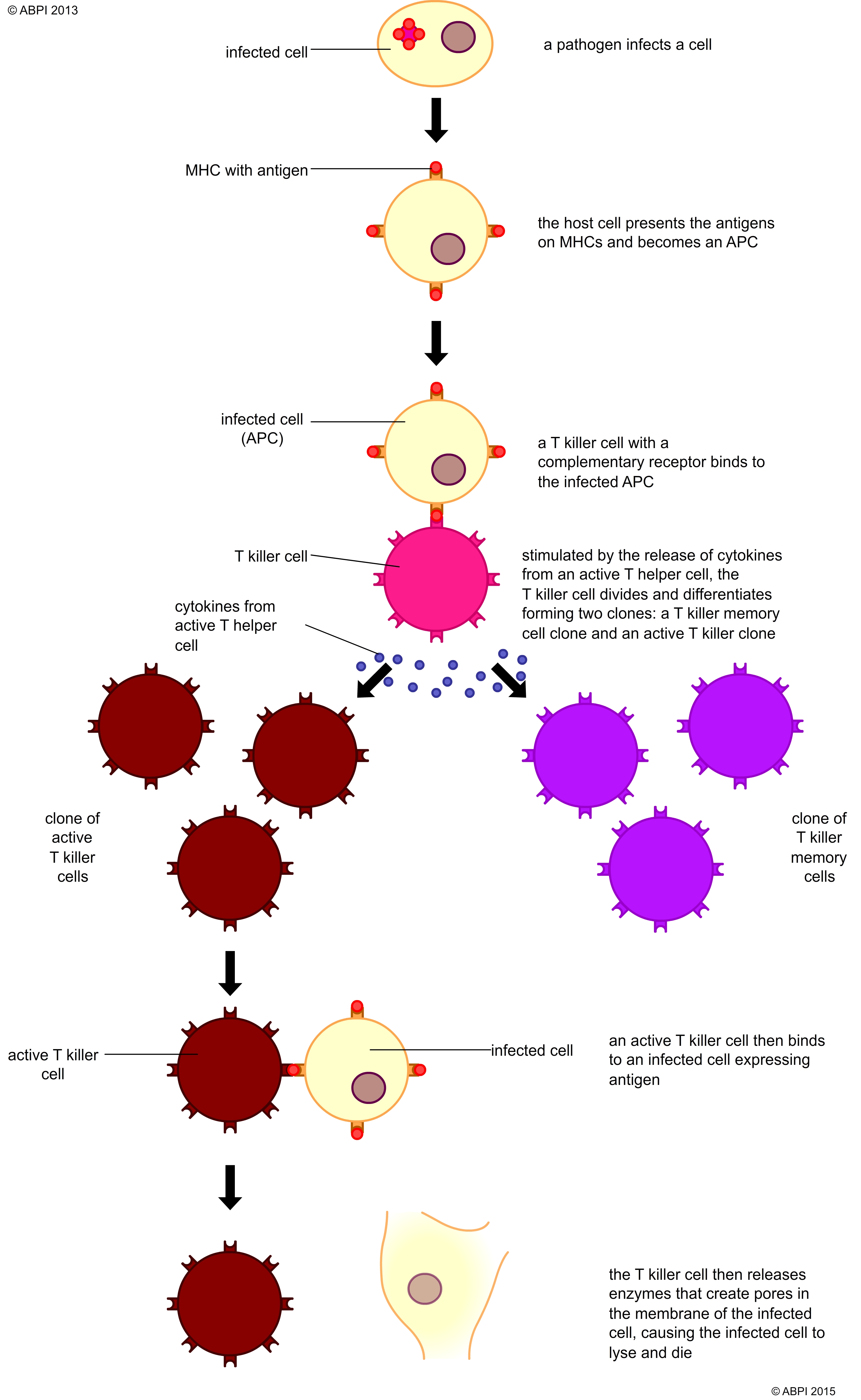 Pathogens32