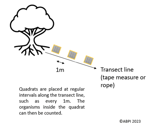 Transect sampling