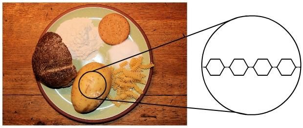 Carbohydrate Example